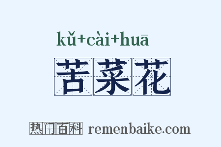苦菜花是什么意思的图片